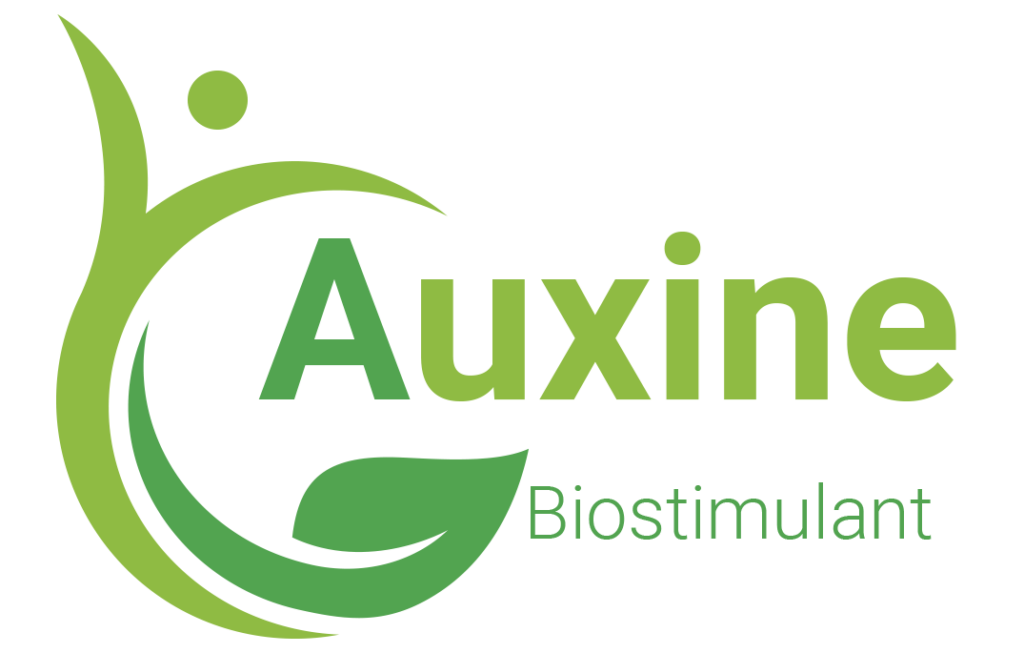auxine